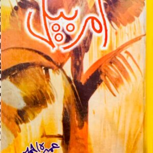 AMER BAIL  BY UMERA AHMED