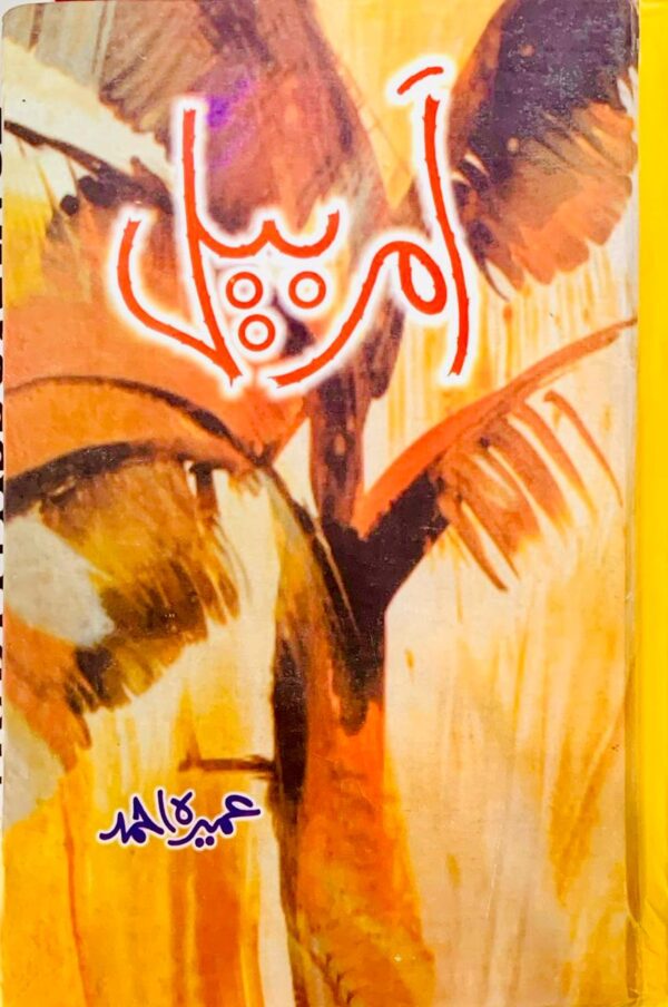 AMER BAIL  BY UMERA AHMED