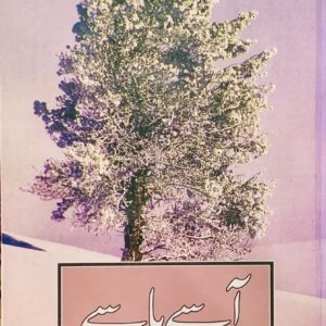 ASAAY  YA PASAAY BY BANO QUDSIA