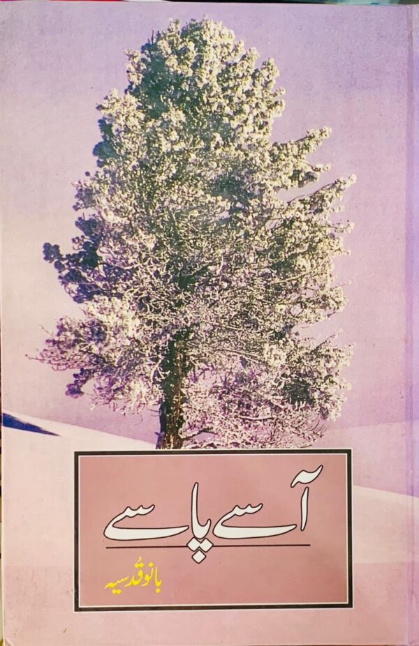 ASAAY  YA PASAAY BY BANO QUDSIA