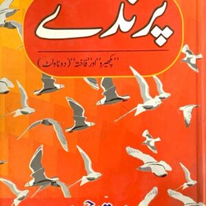 PRINDAY BY MUSTANSER HUSSAIN TARARR