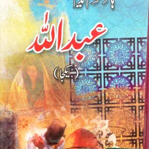ABDULLAH  BY HASHIM NADEEM