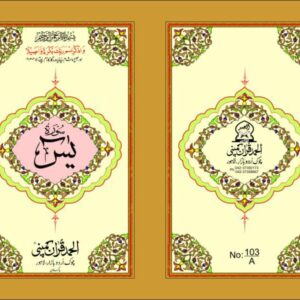 SEPRATE SURAH YASSEEN MATT PAPER CARD COVER POCKET SIZE PUBLISER ALHUMD QURAN COMPANY