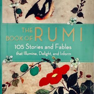 THE BOOK OF RUMI BY MARYAM MAFI